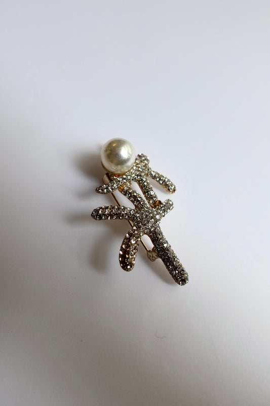 Starfish Brooch