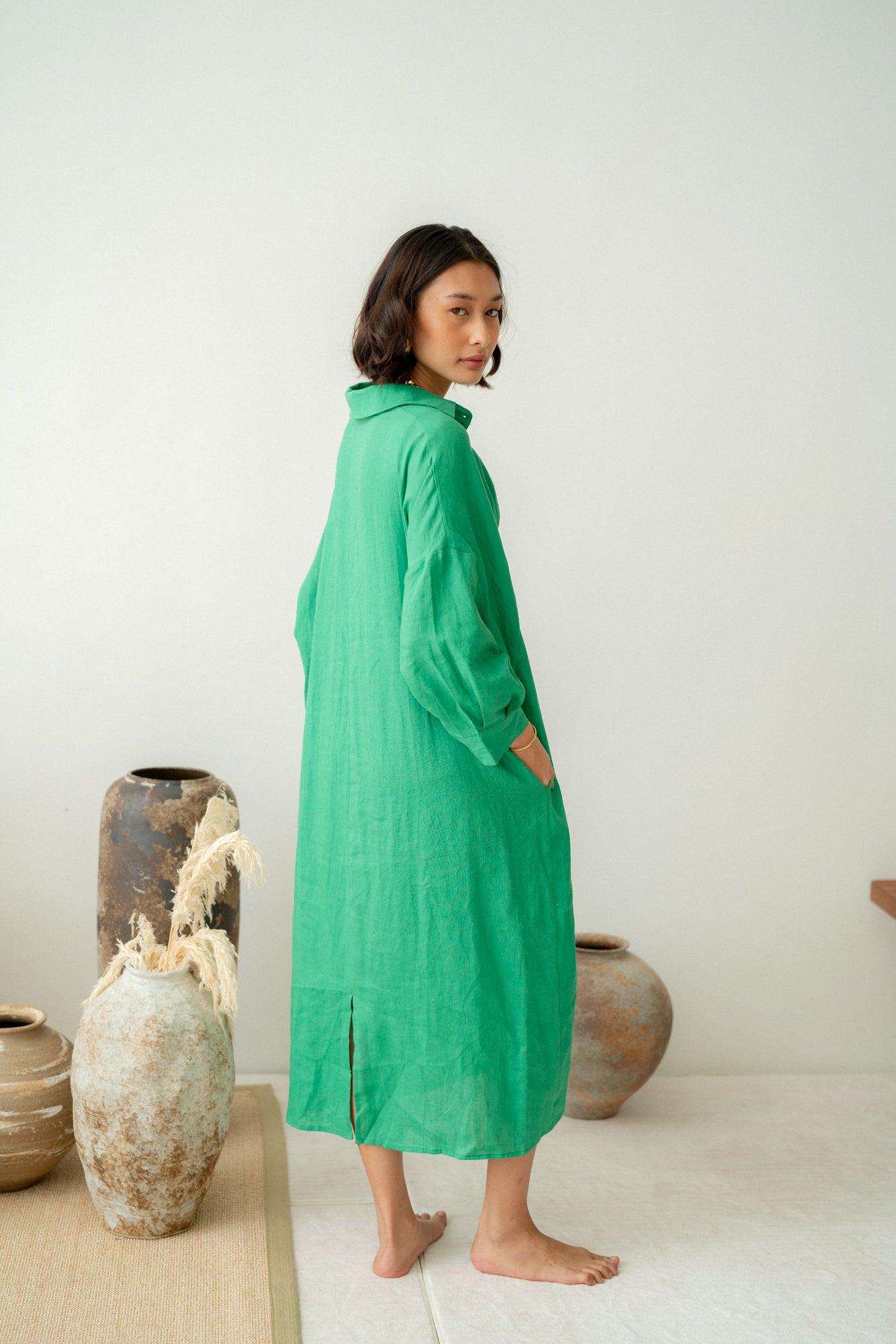 Zeta Pleated Dress in Green