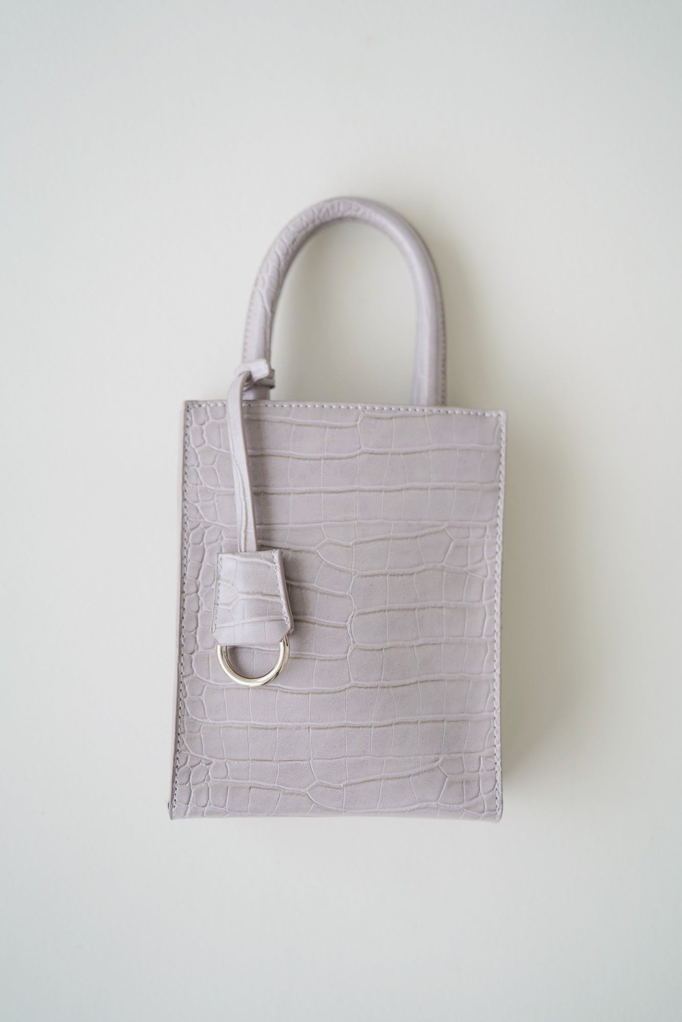 Ace Bag in Taupe